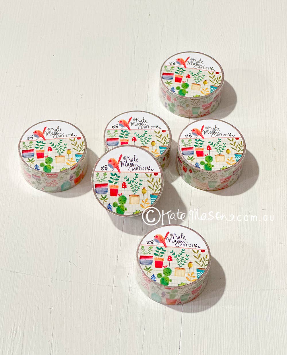 Succulent Pots WASHI TAPE