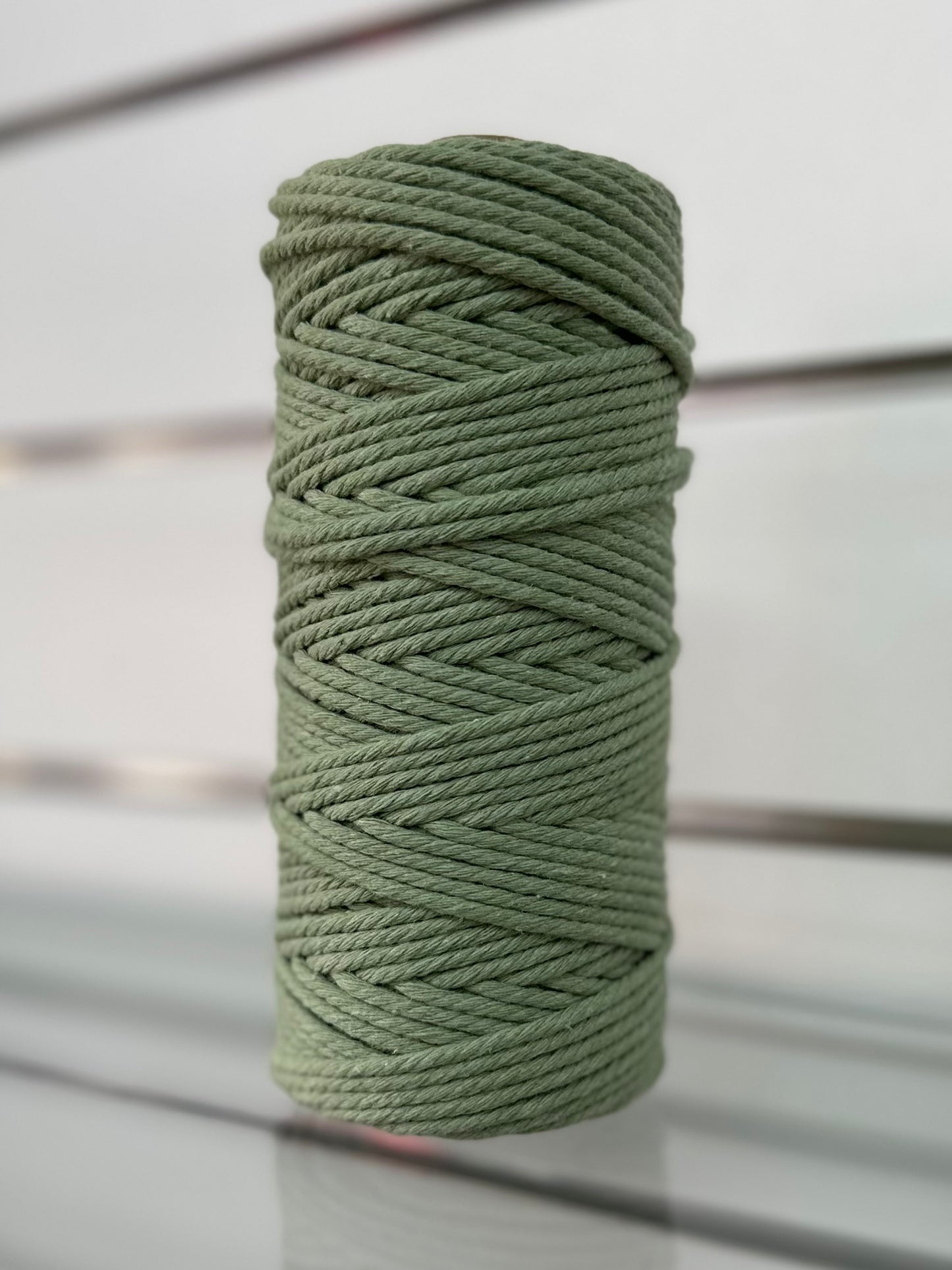 Photo 9-1-2024, 7 05 50 pm.jpg