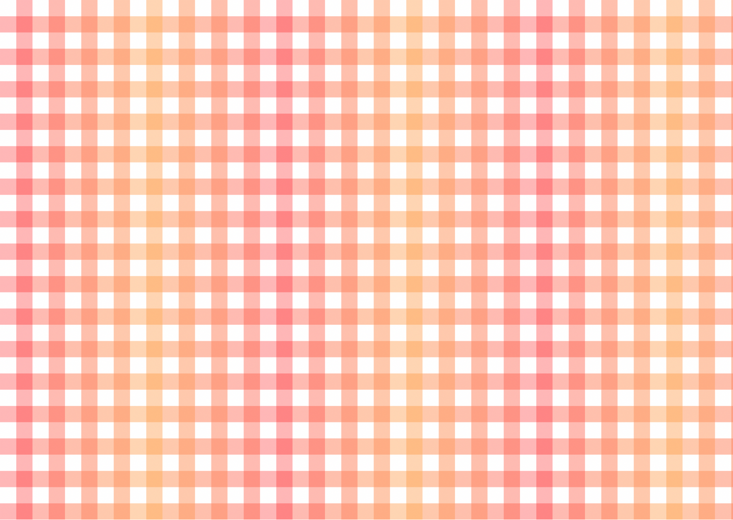 Transfer Paper - Orange/Pink Ombré Gingham