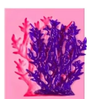 Coral Silicone Push Mould