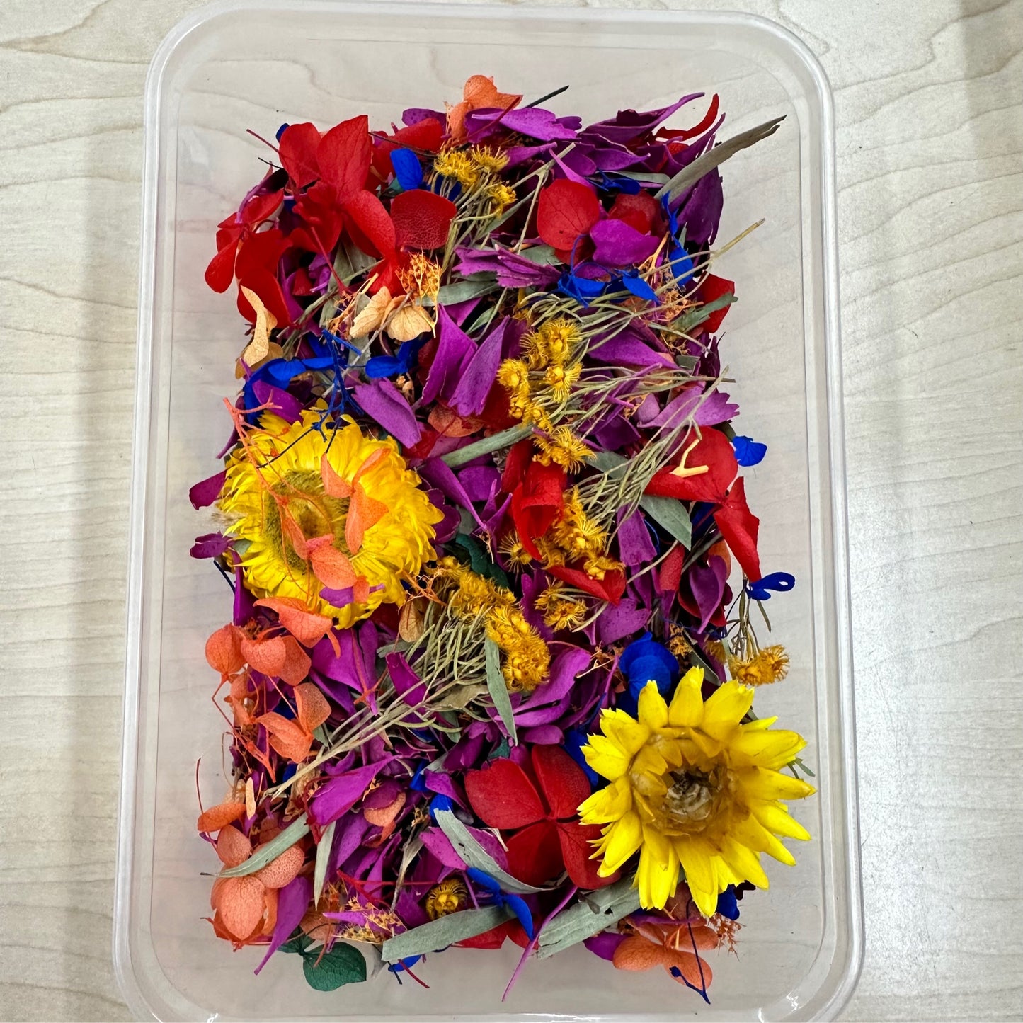 Dried Flowers 3d Box - Confetti Primary Colours
