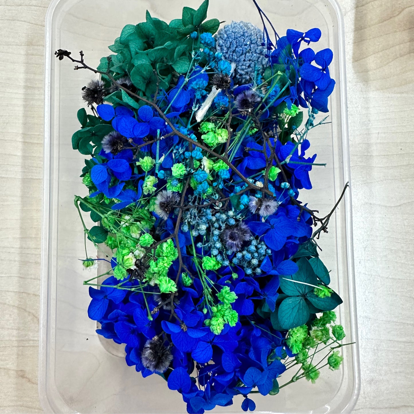 Dried Flowers 3d Box - Bright Blue/Green
