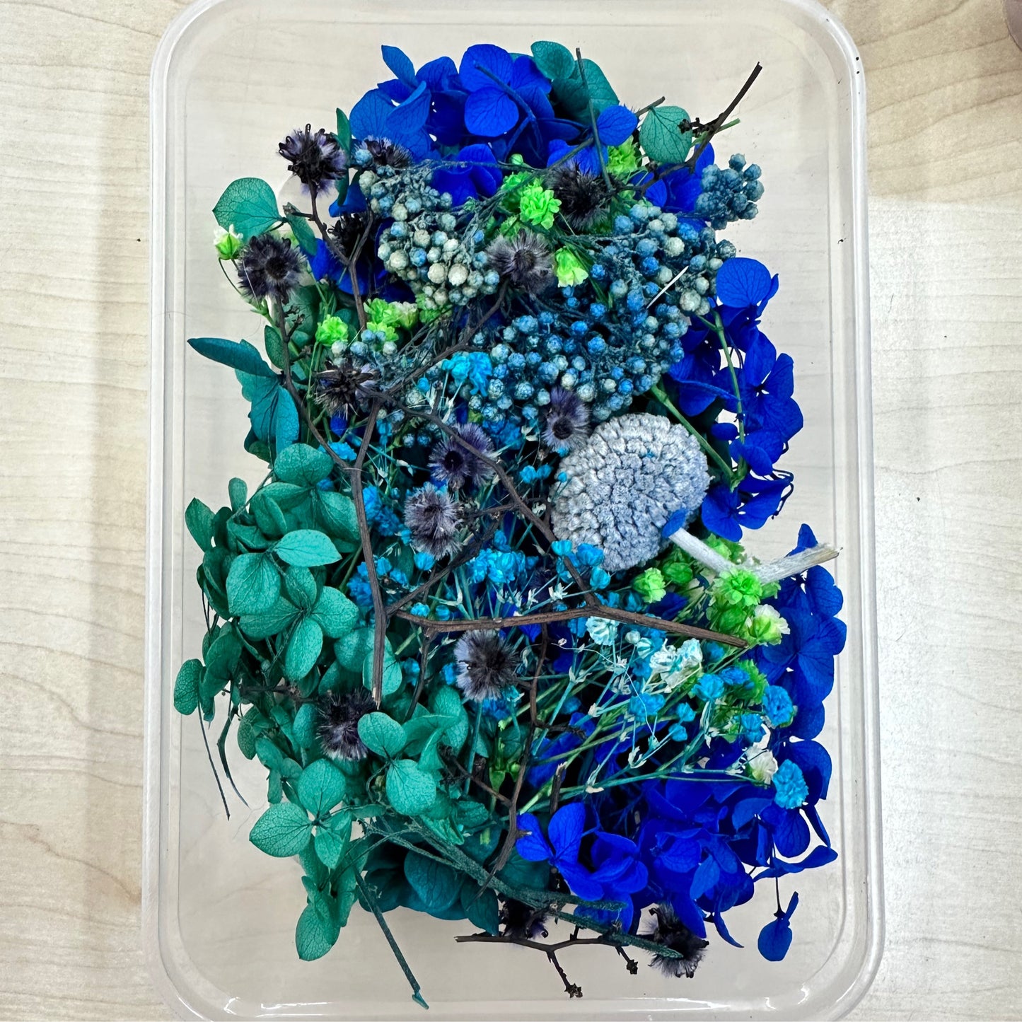 Dried Flowers 3d Box - Bright Blue/Green