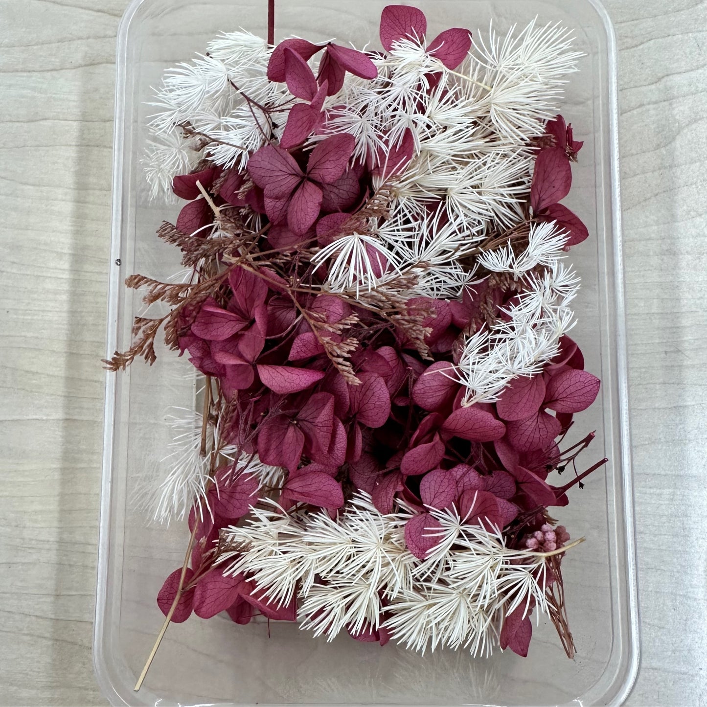 Dried Flowers 3d Box - Burgundy/Natural
