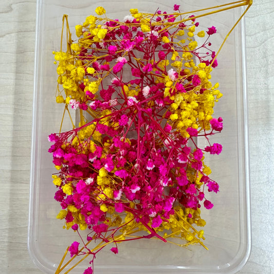 Dried Flowers 3d Box - Bright Pink/Yellow