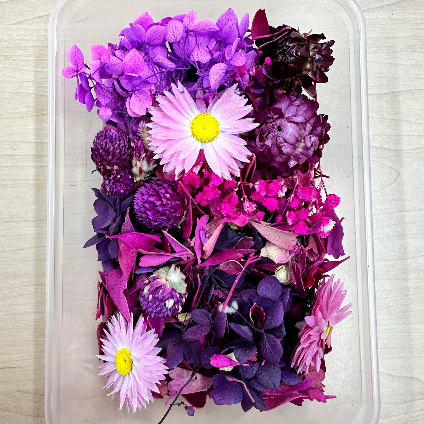 Dried Flowers 3d Box - Bright Purple/Pink